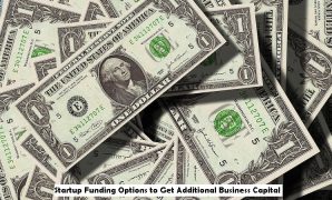 Startup Funding Options to Get Additional Business Capital startup funding options