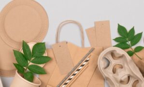 Top Eco-Friendly Franchise Business Ideas Top Eco-Friendly Franchise Business Ideas
