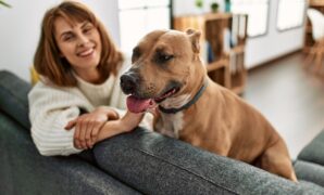 Pet-Friendly Rentals: Best Options for 2025 Pet-Friendly Rentals: Best Options for 2025